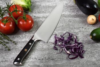 Couteau de chef Fukito Ebène X50 21cm 3