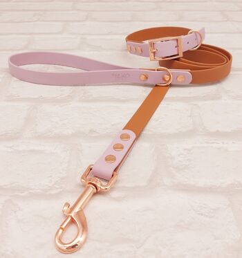 Ensemble Collier et Laisse pour Chien Bicolore BioThane© Imperméable - Marron Clair & Lilas 1