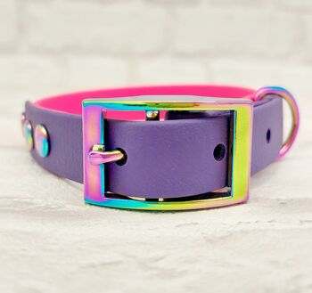 Ensemble collier et laisse pour chien bicolore BioThane© étanche - rose électrique et violet acide 3