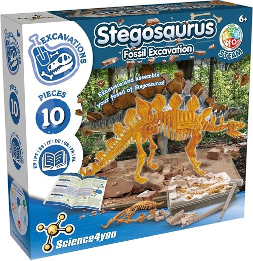Stegosaurus Fossil Excavation - Educational Toy