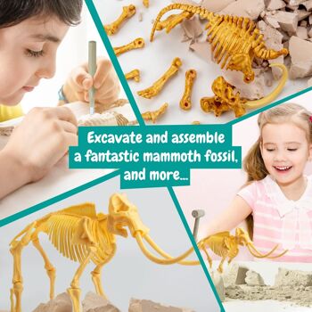 Excavation de fossiles de mammouth - Jouet éducatif 6