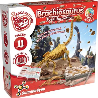 Brachiosaurus Fossil Excavation - Educational Toy