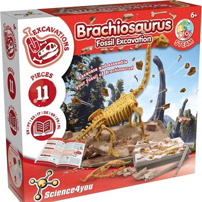 Science4you - Kit di scavo di fossili di brachiosauro per bambini +6 anni - Scava e assembla 11 fossili di brachiosauro - Kit di scavo di dinosauri ideale Set di giocattoli, archeologia e paleontologia per bambini dai 6 anni in su