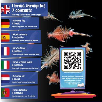 Artemias Aquatic Creatures - Kit de biologie pour enfants 2