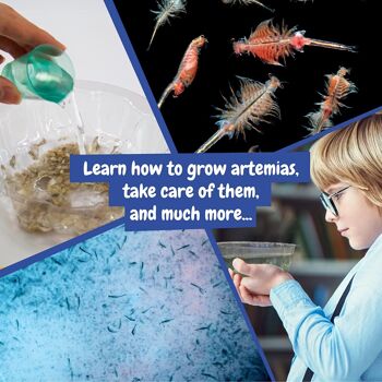 Artemias Aquatic Creatures - Kit de biologie pour enfants 6