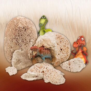 Kit de démarrage d'œufs de dinosaures pour enfants 3
