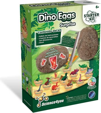 Kit de démarrage d'œufs de dinosaures pour enfants 6