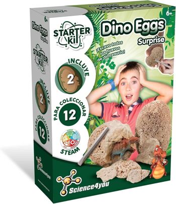 Kit de démarrage d'œufs de dinosaures pour enfants 5