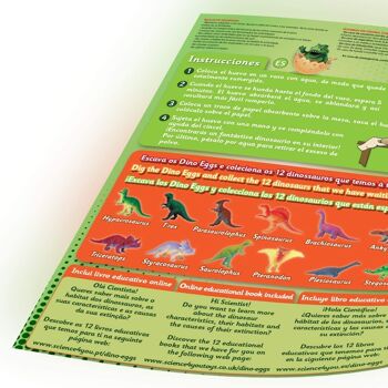 Kit de démarrage d'œufs de dinosaures pour enfants 7