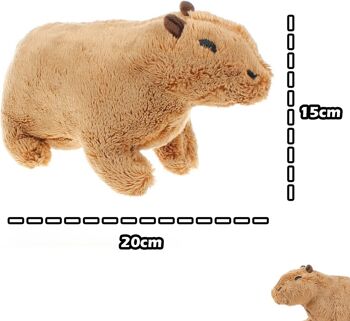 Peluche Capybara - 20cm 4
