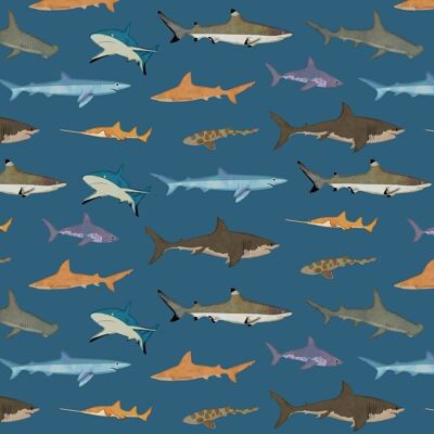 Feuilles de papier cadeau - Requins
