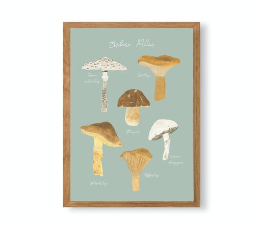 Poster A4 "Essbare Pilze"