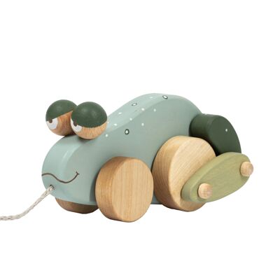 Wooden Pull Toy Frog