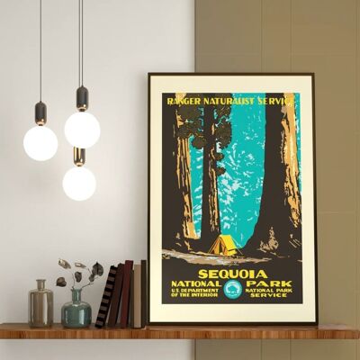 Affiche - Sequoia (30x40cm) - Plakat