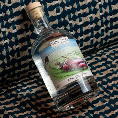 LA GIN Saint-Pierre Belle Gnôle 37,5%vol