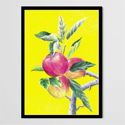 Poster - Äpfel