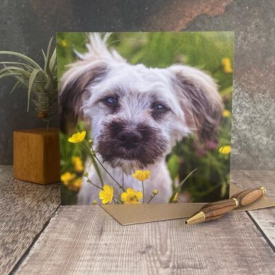 Carte de voeux de chien - carte de chien mignon