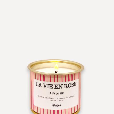 Pflanzliche Kerze La vie en rose - Pfingstrose