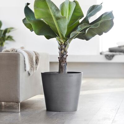 Pot Conique Gris Ø50 | Amsterdam ECOPOTS (Réserve d'eau incluse)