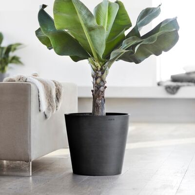 Pot Conique Anthracite Ø60 | Amsterdam ECOPOTS