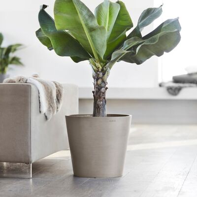 Pot Conique Taupe Ø50 | Amsterdam ECOPOTS