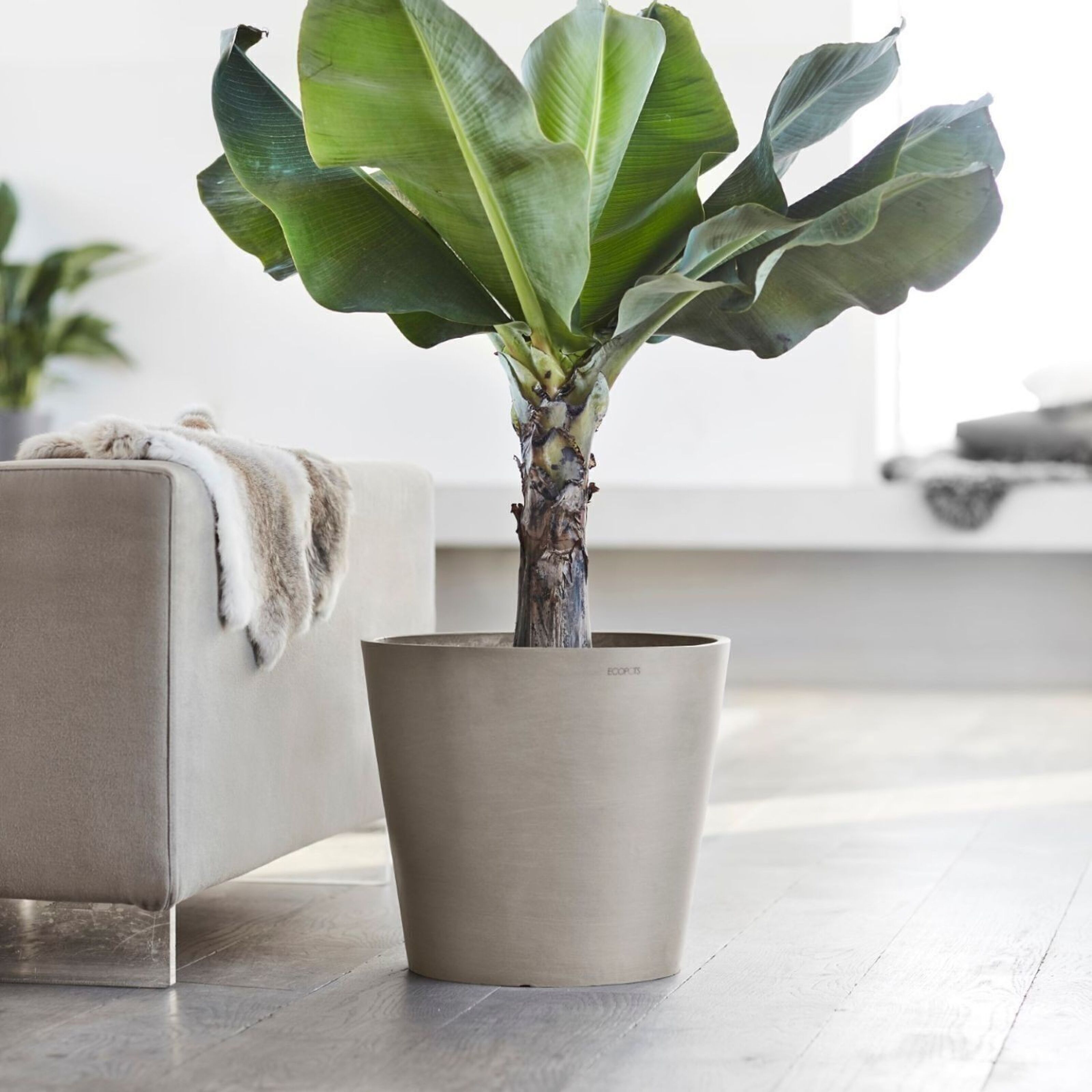 Buy wholesale Taupe Conical Pot Ø60 | Amsterdam ECOPOTS