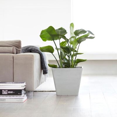 Pot Cube Blanc L40 | Rotterdam ECOPOTS