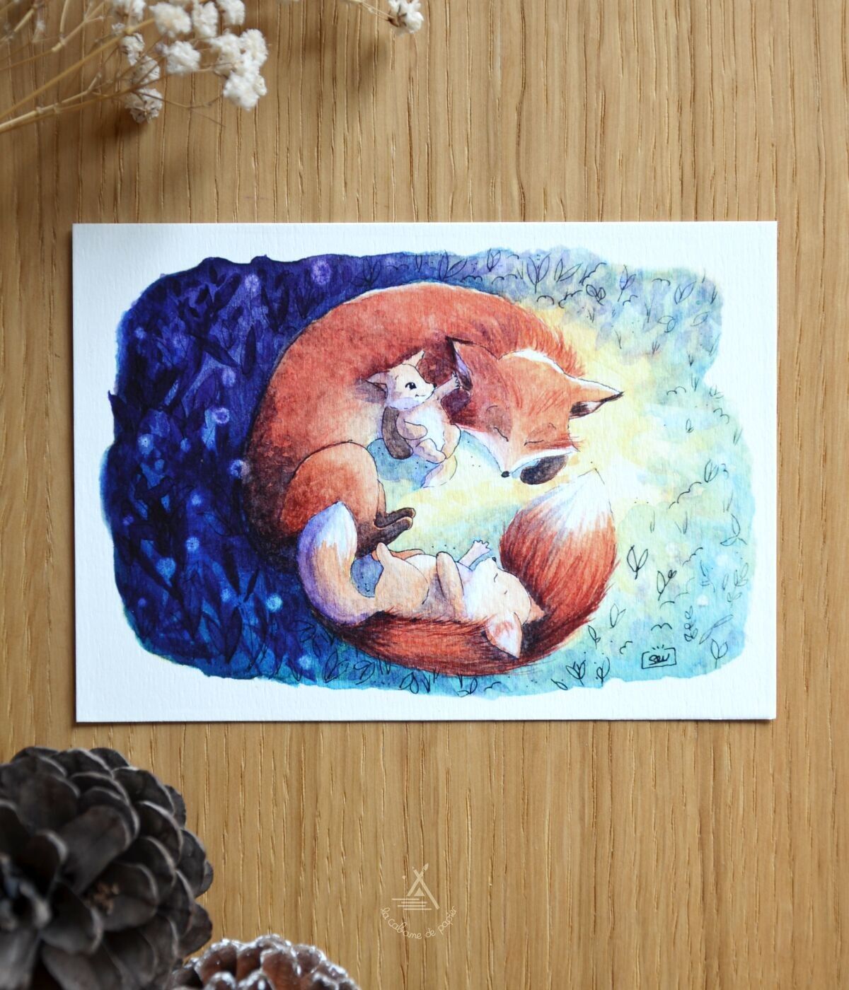 Carta A6: famiglia Fox