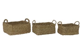 CORBEILLE SET 3 GAZON 36X27X19 NATUREL DC202116 1