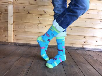 Chaussettes Homme >>Caméléon<< 3