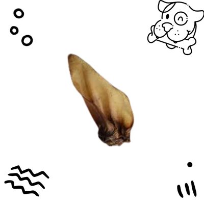 Orecchie di Manzo x 50