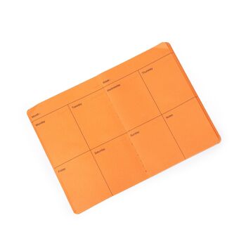 AGENDA A6 CHAMPIGNONS ORANGES HF 2