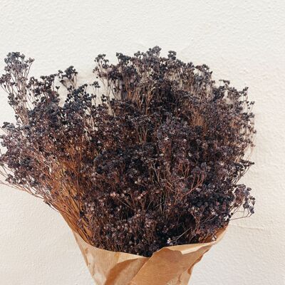 Broom Bloom Purple Dried Flowers