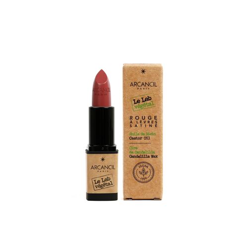 Rouge à lèvres satiné lab vegetal 510 brun de rose