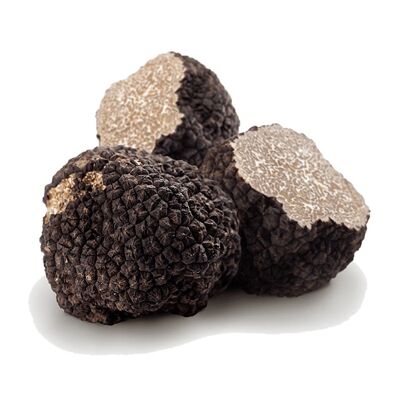 EXTRA FRESH white summer truffle - Tuber aestivum Vittadini - 250g