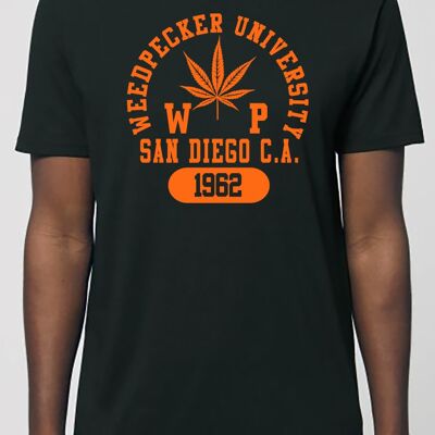 T sandiego black