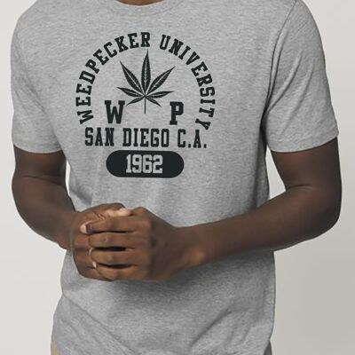 T sandiego mix grey