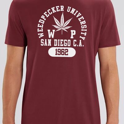 T sandiego burgundy