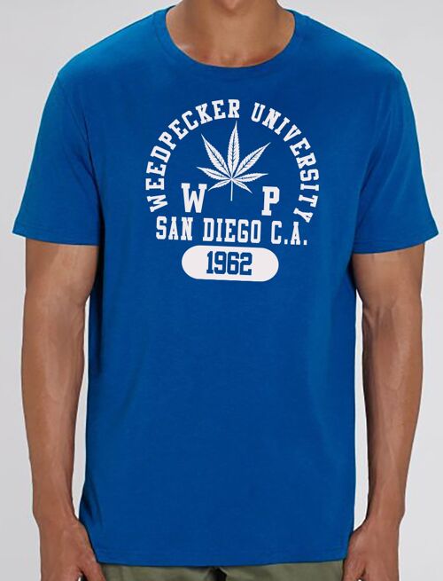 T sandiego royal blue