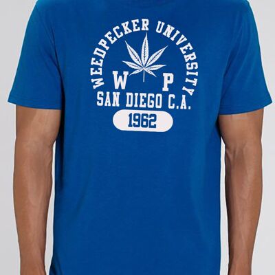 T SANDIEGO ROYAL BLUE