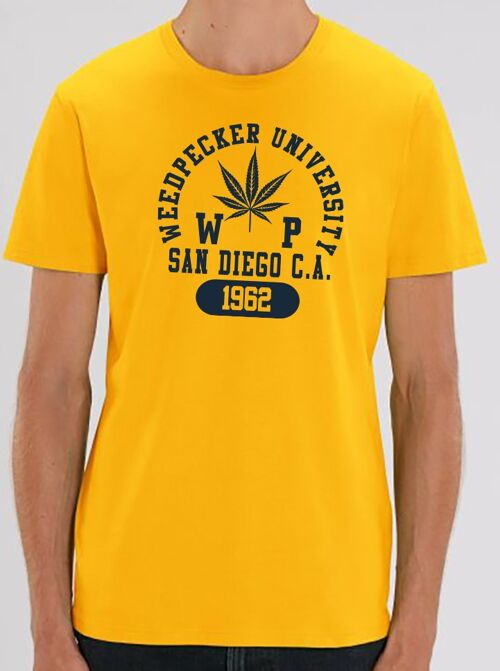 T sandiego yellow