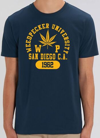 T sandiego navy