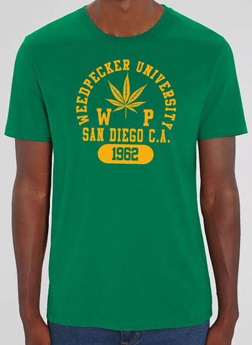 T sandiego varsity green