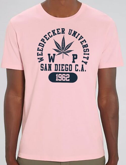 T sandiego pink