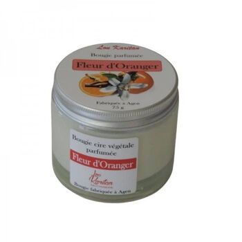 Bougie végétale parfumée Fleur d'Oranger 75 g 1