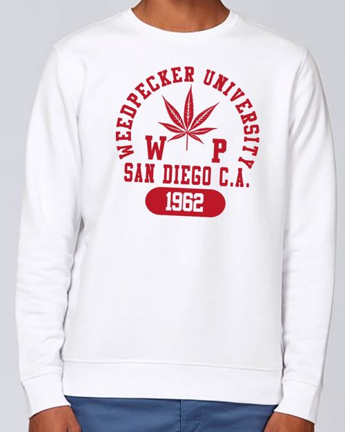 Swrdc sandiego white