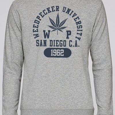 Swrdc sandiego mix grey