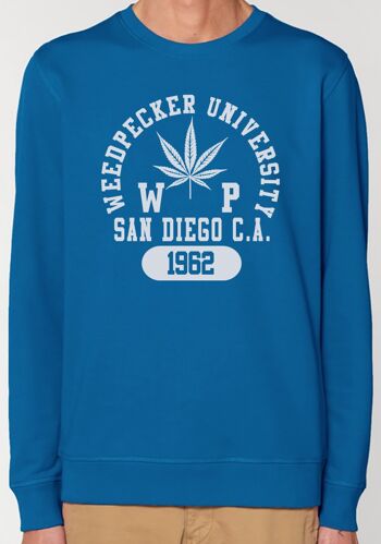 Swrdc sandiego royal blue