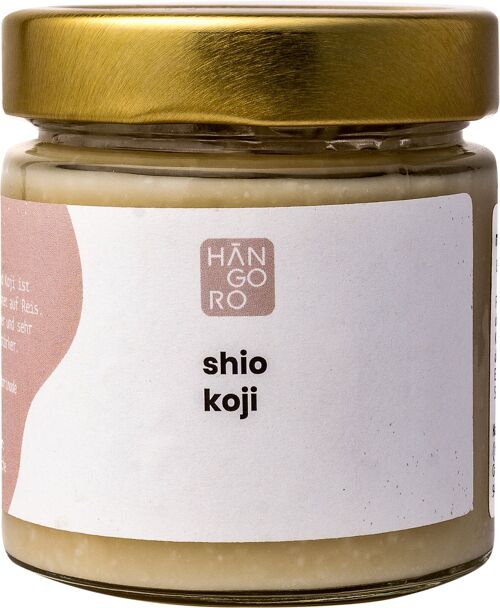 Marinade, Shio Koji