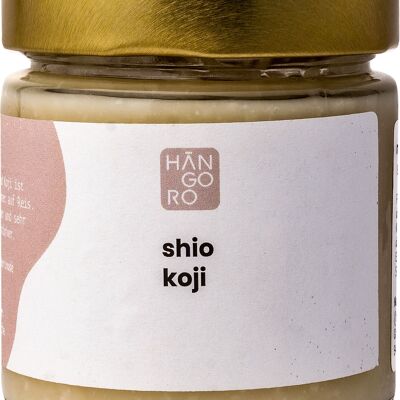 Marinade, Shio Koji